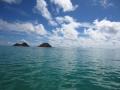 dgs