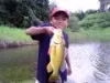 omilu7's picture